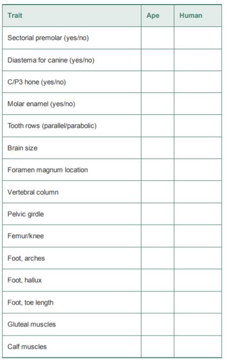 Examine the following figure. Describe the similarities and differences between the...-1