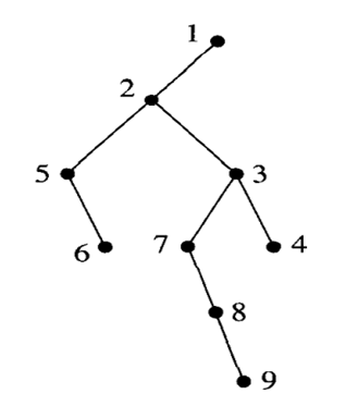 The following binary tree is the representation of a general tree (as in part (b) of Exercise 14)....