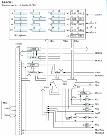 Draw the individual lines of the eight-bit bus between MDR and the main memory bus. Show the...