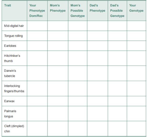 Using the following chart, copy your personal phenotype information collected in class in the first...