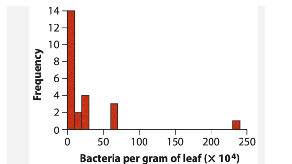 The surface of plant leaves is a thriving ecosystem, home to many microorganisms such as bacteria....