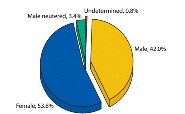 Spot the flaw. In a newer study of “high-rise syndrome” (see Chapter 1), Vnuk et al. (2004) reported...