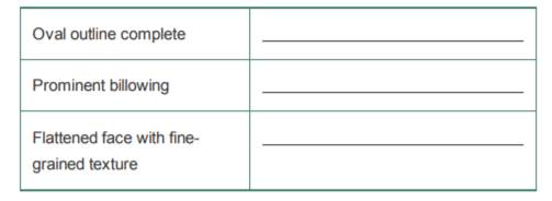 Determine whether the following descriptions refer to a young adult, middle-aged adult, or old adult...