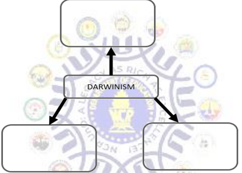 Charles Darwin established a theory of evolution based on variation, competition, and survival in...