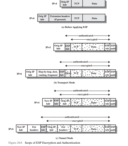 figures similar to Figure 20.8 that show each of the following. a. Transport adjacency with...