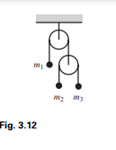 A double Atwood’s machine is shown in Fig. 3.12, with masses m1, m2, and m3. Find the accelerations...