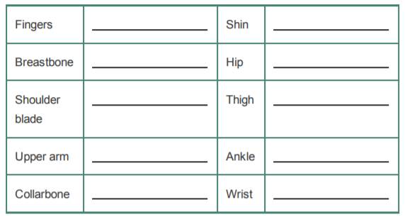 Examine an articulated skeleton in the lab or in a photograph, and identify the following bones with...