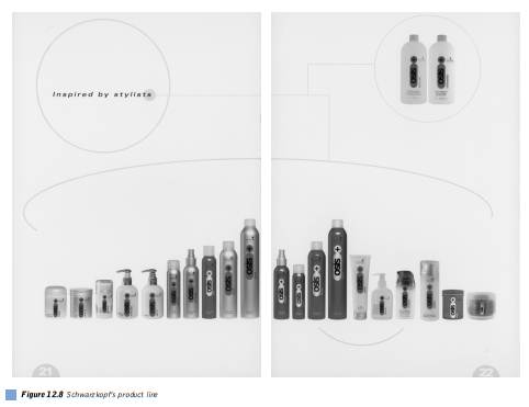 CASE 12.2 SCHWARZKOPF, INC. DISTRIBUTION NETWORK Daniel M. Evans, San José State University, and...