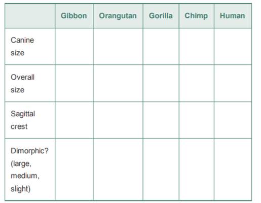 Using the preceding information, compare the male and female cranial casts or photos in your lab of...