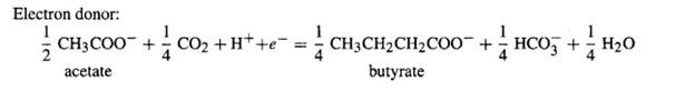 Organic matter is converted in sequential steps by different bacterial species to methane in...-1