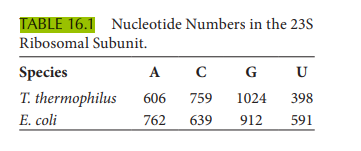 Plot the number of bases in T. thermophilus versus the number of bases in E. coli from Table 16.1.