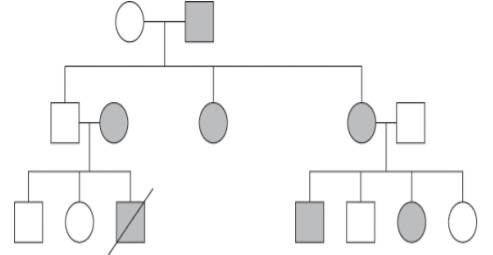 Examine the following pedigree. Determine the genotypes for all individuals in the chart. Is the...