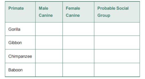 Examine the dental arcades of both sexes of these primates and report their canine size and probable...