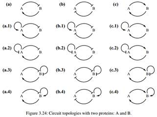 (Bendixson criterion) Consider the possible circuit topologies of Figure 3.24, in which A and B are...