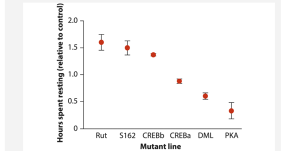 Rest in fruit flies, Drosophila melanogaster, has many features in common with mammalian sleep. Its...