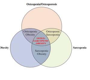 In Ageing Research Reviews (May 2014), nutritionists published a study of the health issues faced by...