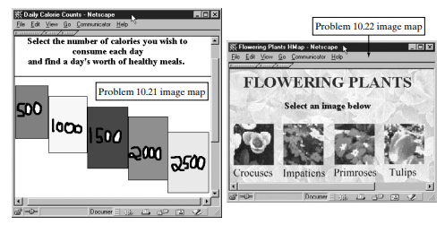 Create the image map on dieting shown on the left of the upcoming figure and its related XHTML...