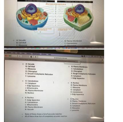 20% ) Tue 2:5 blackboard.cmich.edu ignment Diversity Project-HDF 110/Orig...... 20% ) Tue 2:5...