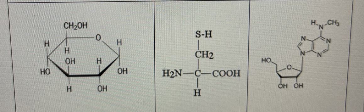 On the molecules on the back page, circle and label all of the functional groups that you see...-2