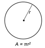 Write a program to do the following: (a) Declare a variable named radius to store the radius of a...-1