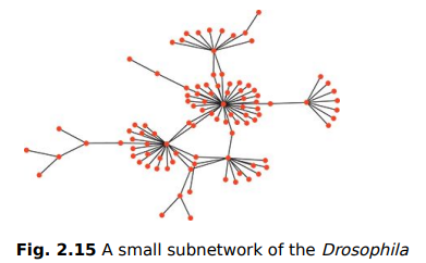 Consider the network in Figure 2.15. Which of the following is the best estimate for the average...