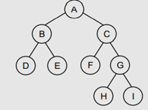 Consider the tree given below. Now, do the following: (a) Name the leaf nodes (b) Name the non-leaf...