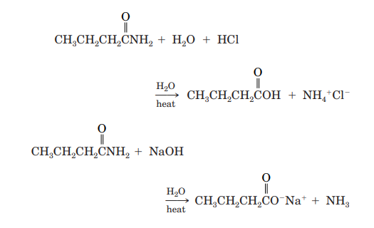 Hydrolysis of an Amide (Section 19.4A) Amides require more vigorous conditions for hydrolysis than...