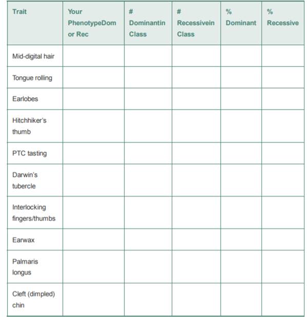 For each trait in the following chart, list your phenotype. Using the information collected by...