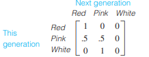 Genetics. A given plant species has red, pink, or white flowers according to the genotypes RR, RW,...