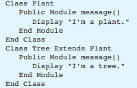 Look at the following pseudocode class definitions: