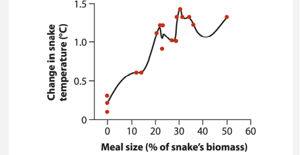 Rattlesnakes often eat large meals that require significant increases in metabolism for efficient...