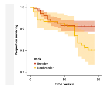 Breeding is often a dangerous activity for many animals, requiring a great deal of energy and...-1