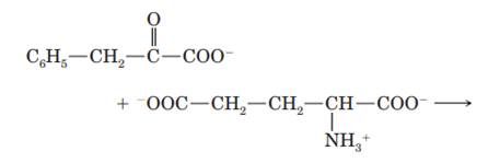 When glutamate transaminates phenylpyruvate, which amino acid is produced?