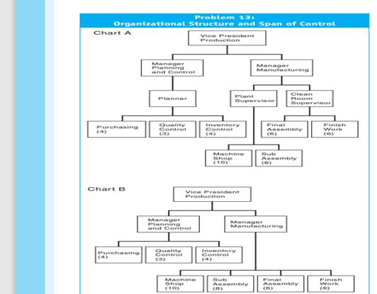 CMA Adapted—Organizational Structure and Span of Control Barnes Corporation recently purchased...