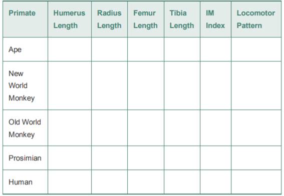 Using the preceding information, fill in the following table after you approximately measure the...