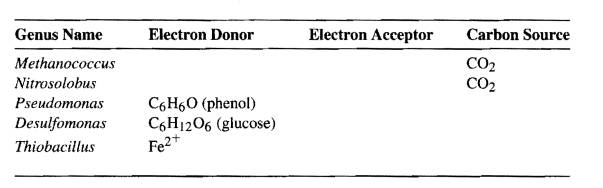 Listed below are genus names for different kinds of prokaryotes. After each genus name are spaces...