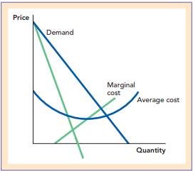 In the following diagram, label the marginal revenue curve, the profit-maximizing price, the...