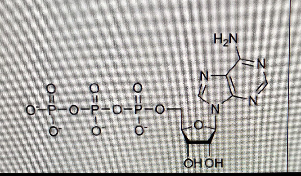 On the molecules on the back page, circle and label all of the functional groups that you see...-1