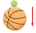 A tennis ball of mass 57.0 g is held just above a basketball of mass 590 g. With their centers...