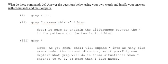 What do these commands do? Answer the questions below using your own words and justify your answers...