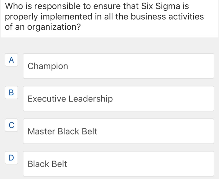 Who is responsible to ensure that Six Sigma is properly implemented in all the business activities...