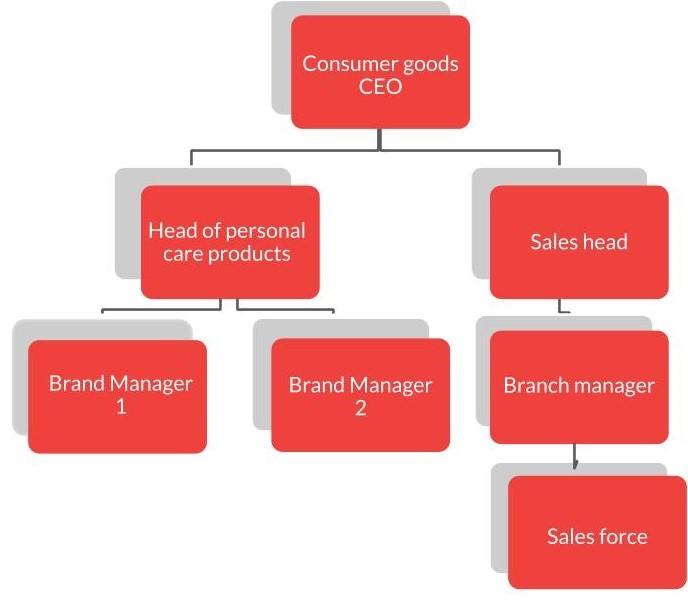 Case Study Clique: Assignment Rajeev is the brand manager of Clique Shampoos at a leading FMCG firm....