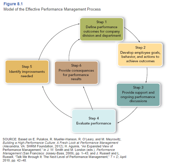 What do you think is the most important step shown in the model of the effective performance...