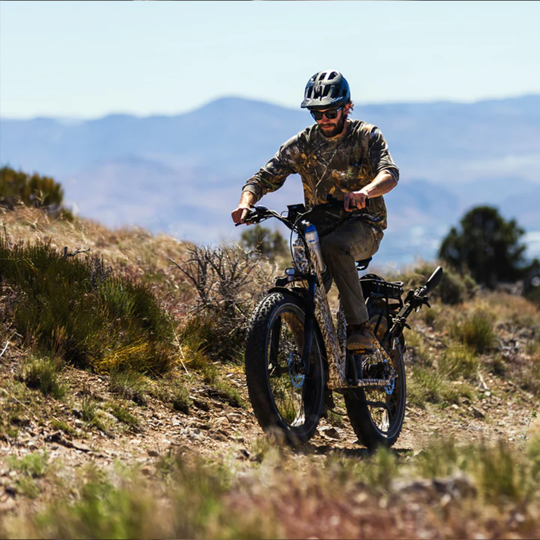 Top Prizes for 2025 - Dirwin - 3