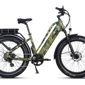 Dirwin Pioneer Plus Fat Tire Electric Bike