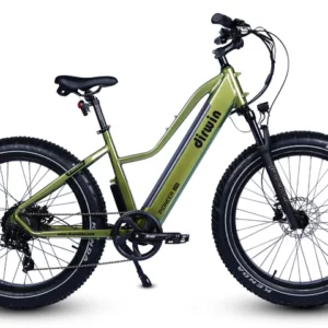 Dirwin Pioneer Lite Fat Tire E-Bike