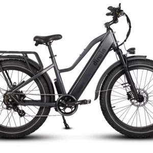 Dirwin Pioneer Step Through Fat Tire Electric Bike