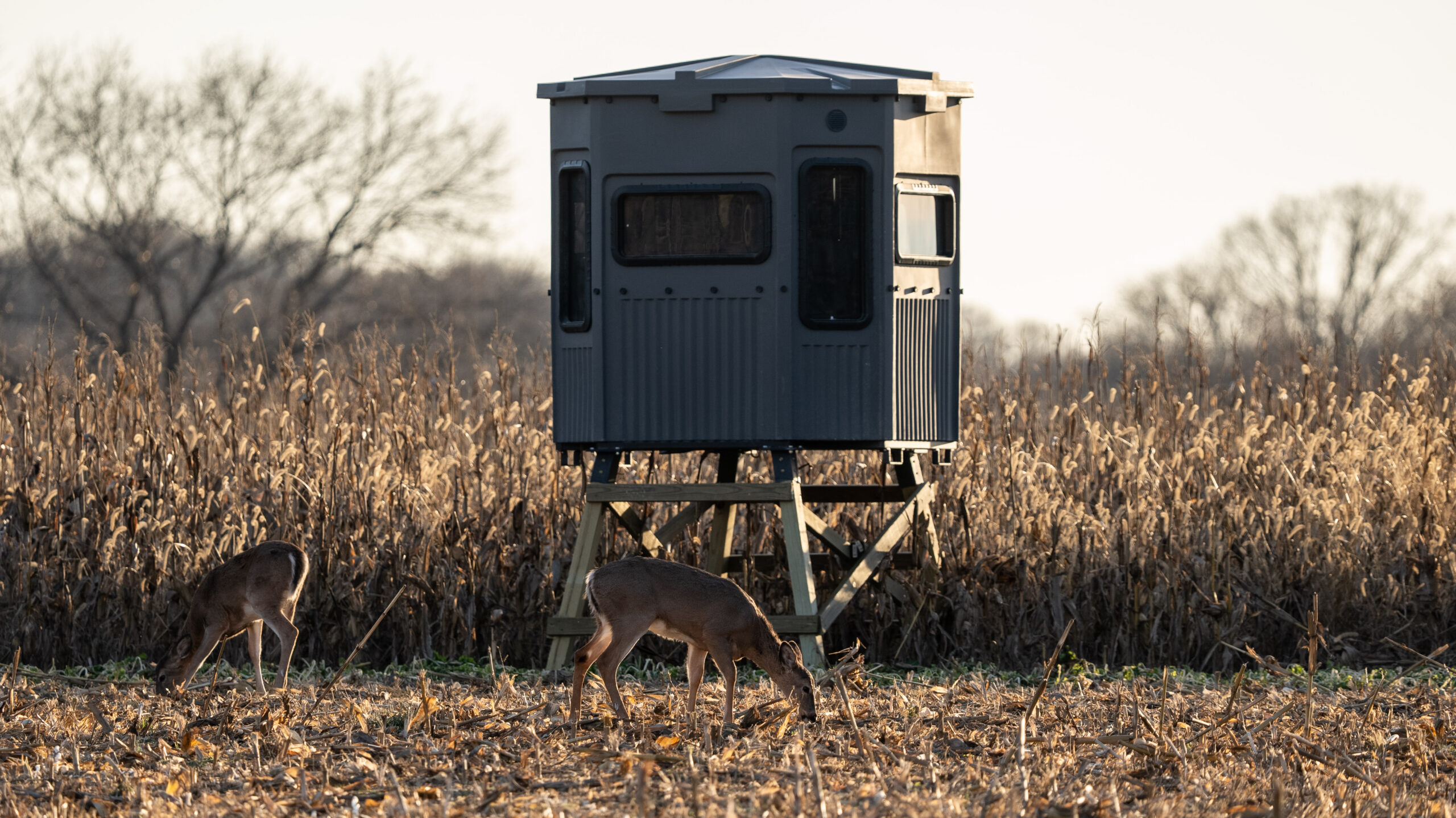Grizzly Alpha Hunting Blind