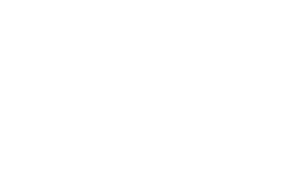 DIRWIN-LOGO white