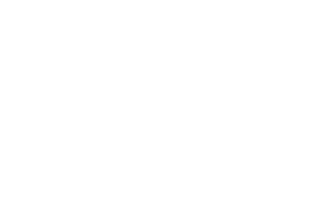 partner-domain